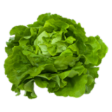 Listová zelenina