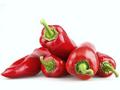 Paprika kápie c1*2kg