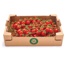 Rajče cherry Strabena b1*3kg