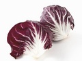 Čekanka červená-radicchio b1*1kg