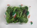 Salát baby mix světlý 1*125g