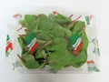 Salát red chard 1*125g