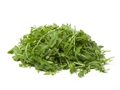 Salát rukola 1*125g