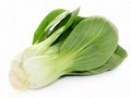 Pakchoi  DV*