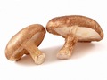 Shitake 1*100g