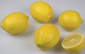 Citron 5/6  b1*2kg
