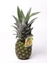 Ananas "10"  1*1ks