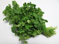 Koriandr volný  *DV